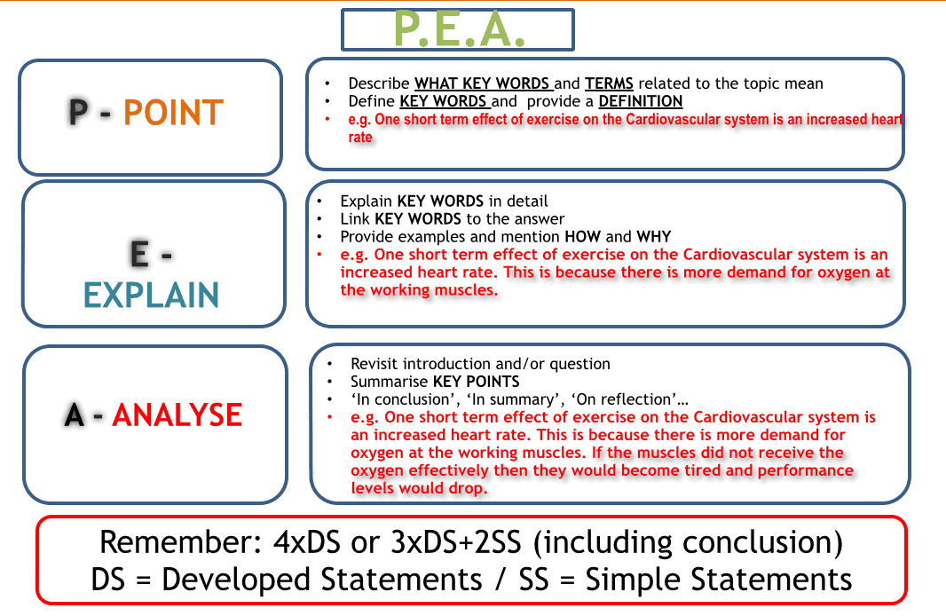PEA – Point, Explain, Analyse