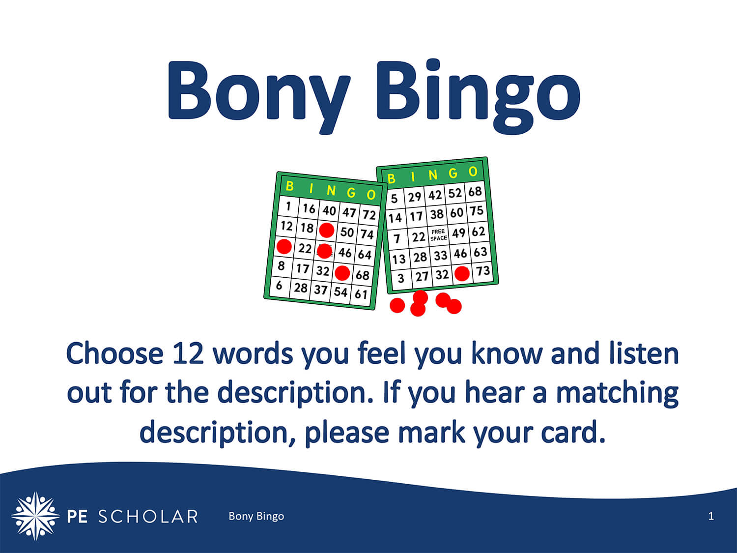 Bony Bingo Interactive Game
