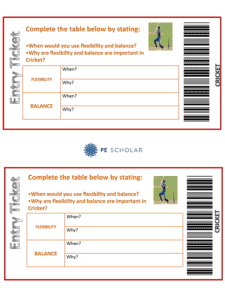 Starter or Plenary Activity - Entry & Exit Tickets for Cricket