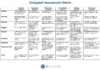 Dodgeball Assessment Matrix