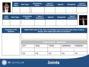Joints Resource Card
