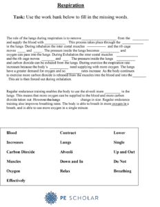 Respiration Worksheet