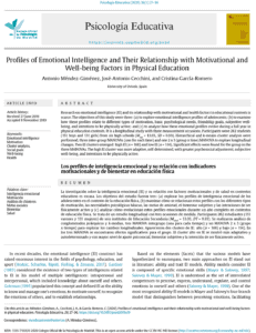 Emotional Intelligence Profiles and Their Relationship with Motivational and Well-being Factors in Physical Education