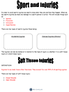 Sports Injury Worksheet