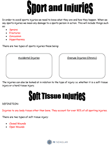 Sports Injury Worksheet
