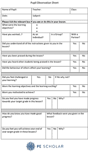 Pupil Observation Sheet