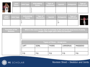 A Level Skeleton and Joints Worksheet