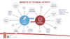 Benefits of Physical Activity