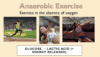 GCSE PE Keyword Posters